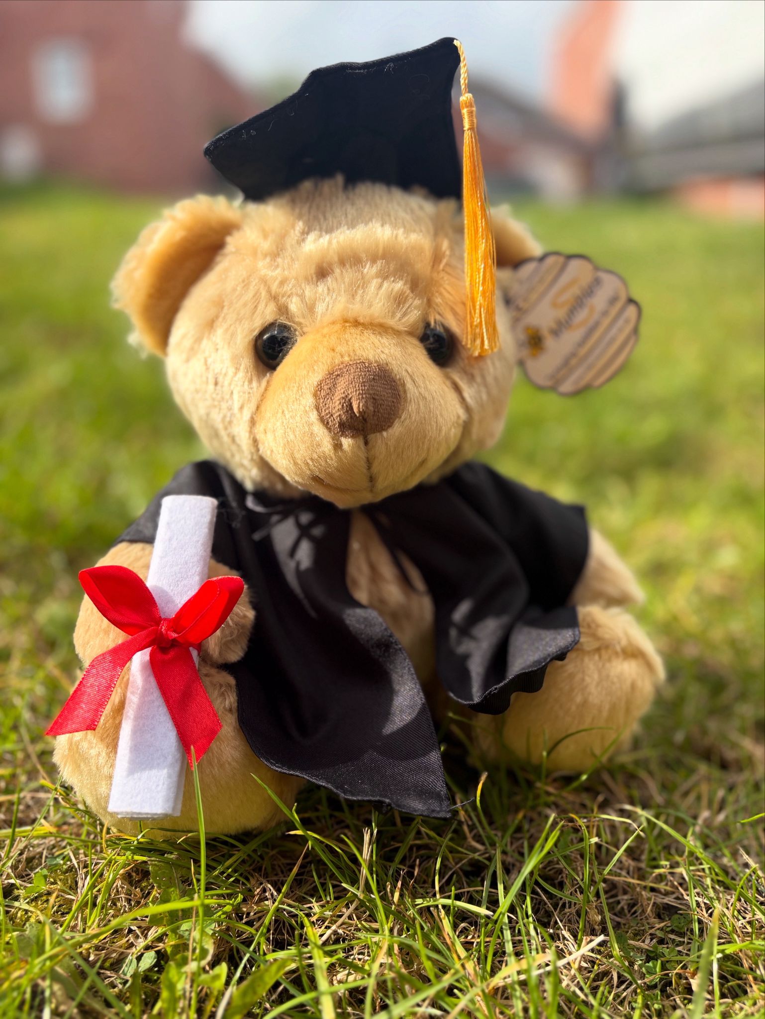 Miles The Nicu Graduation Bear